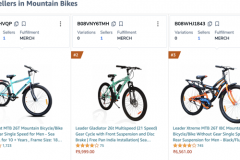 Shopify Development + Google Ads (PPC) + Conversion Rate Optimization for DTC Company