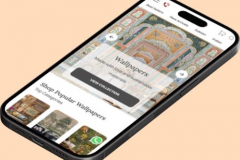 Shopify Development + UI UX Designing + Marketing