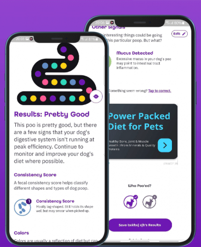 Snappoo- An AI-Powered Poop-Analyzing Application screenshot 4