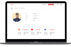 Social Media API Integration