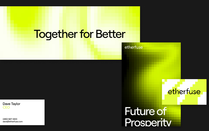 Etherfuse Branding screenshot 1