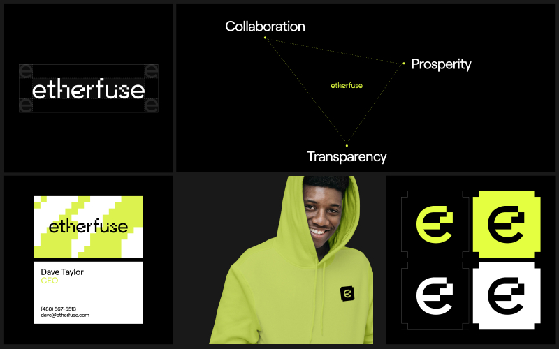 Etherfuse Branding screenshot 3