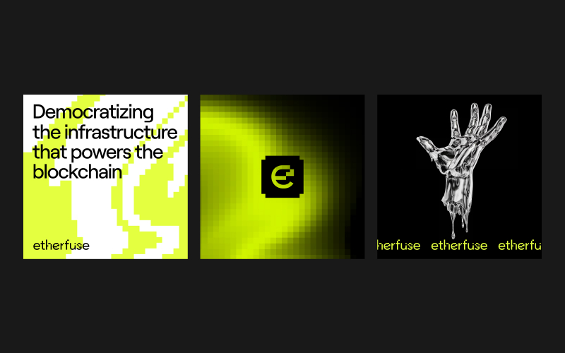 Etherfuse Branding screenshot 4