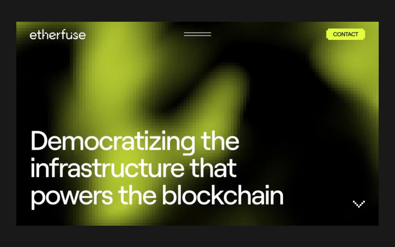 Etherfuse Branding screenshot 2