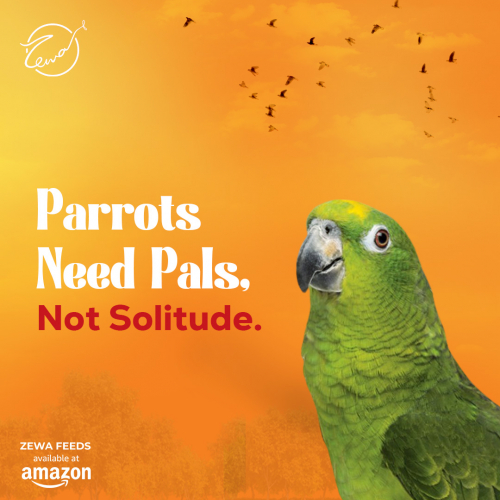 Zewa Feeds screenshot 4