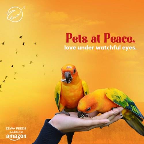 Zewa Feeds screenshot 3