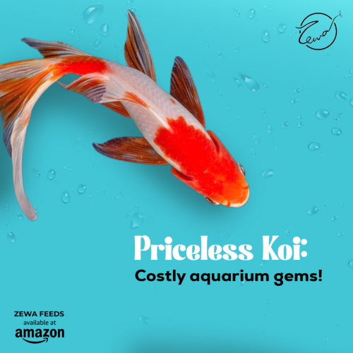 Zewa Feeds screenshot 2