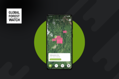 Global Forest Watch - A conservation app to save our forests