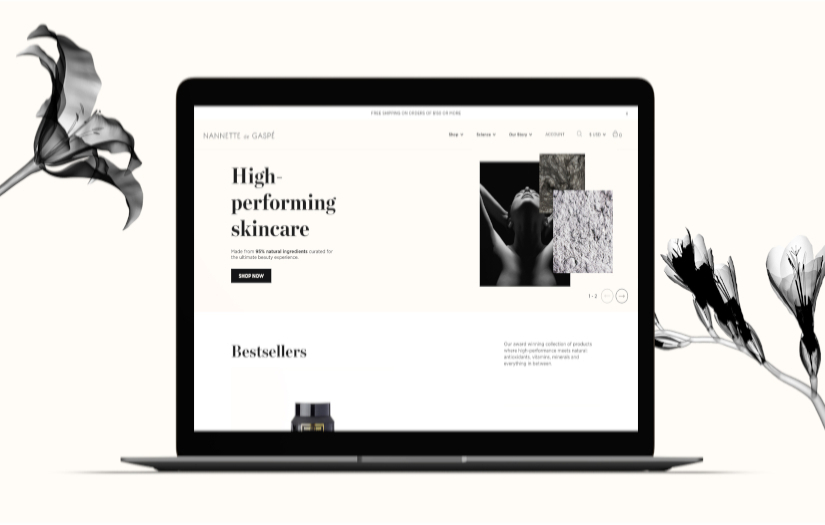 Nannette de Gaspé screenshot 1