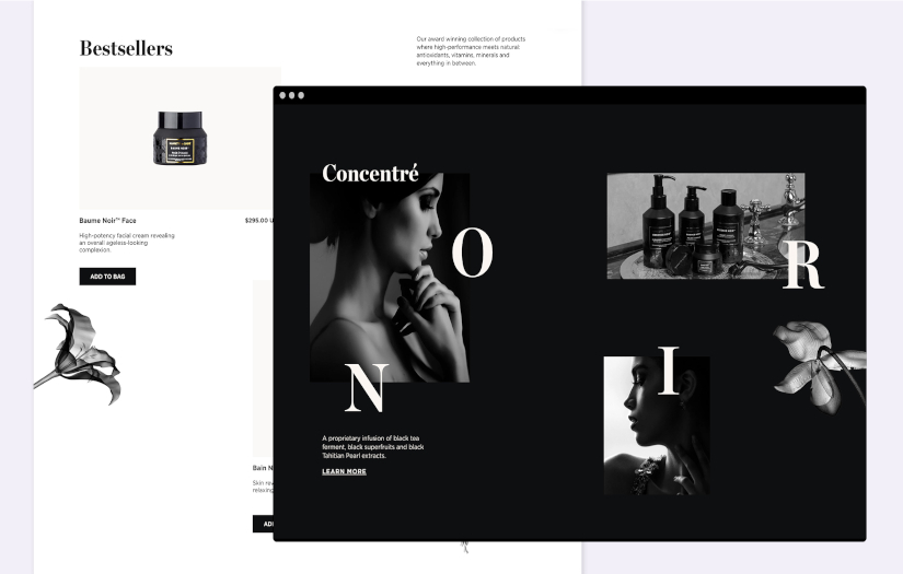 Nannette de Gaspé screenshot 2