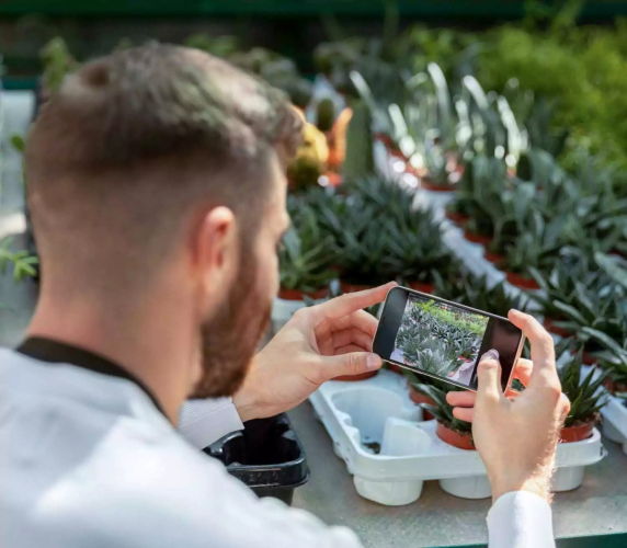 Developed Noxious Weed Management System screenshot 1