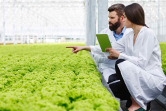 AgriTech Mobile Application Modernization