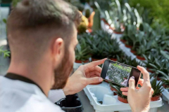 Developed Noxious Weed Management System