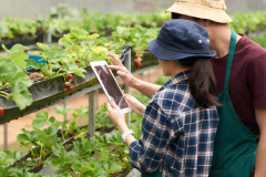 AWS Ecosystem utilization for digital agriculture