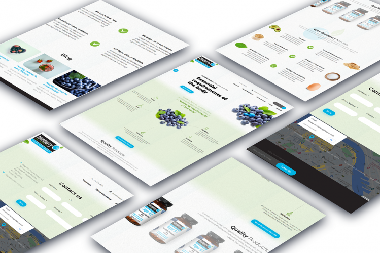 Blue Berry Naturals screenshot 1