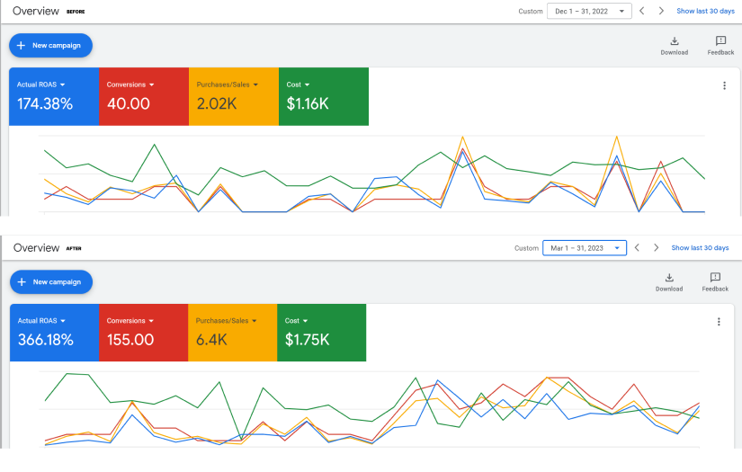 PPC case study – US cosmetics e-commerce screenshot 1