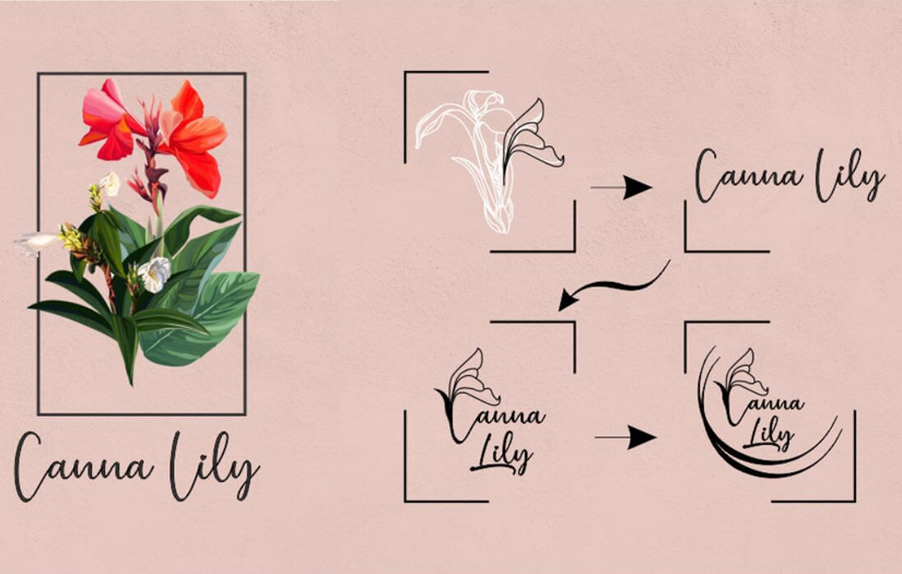 Branding, Naming and SMM for Canna Lily screenshot 2