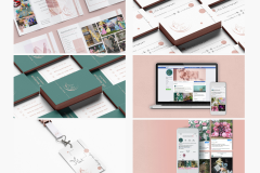 Branding, Naming and SMM for Canna Lily