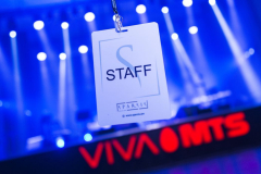 Organization of an Online Concert for VIVA MTS