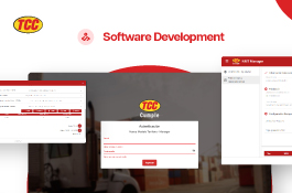 Software development