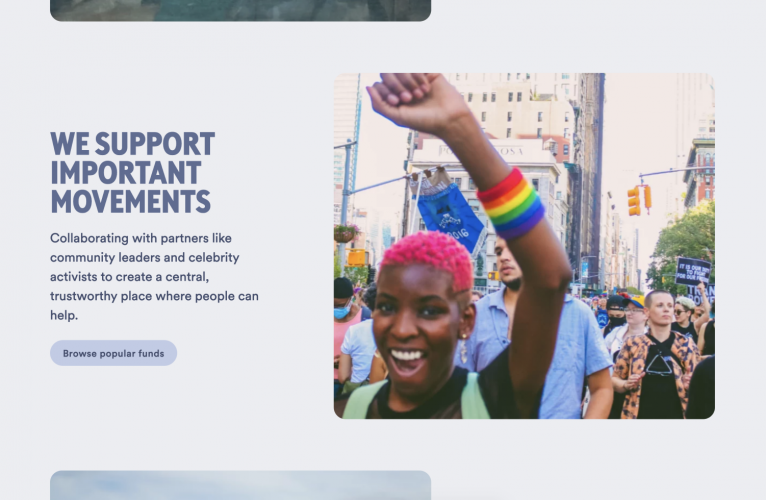 Web Dev & Logo Design for Fundraising Company screenshot 3