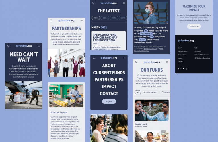 Web Dev & Logo Design for Fundraising Company screenshot 2