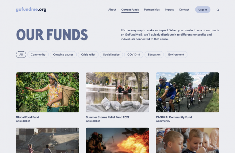 Web Dev & Logo Design for Fundraising Company screenshot 1