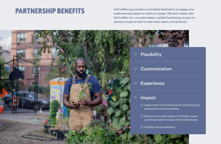 Web Dev & Logo Design for Fundraising Company screenshot 5