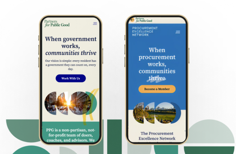 Multi-Site Platform for Partners for Public Good screenshot 2