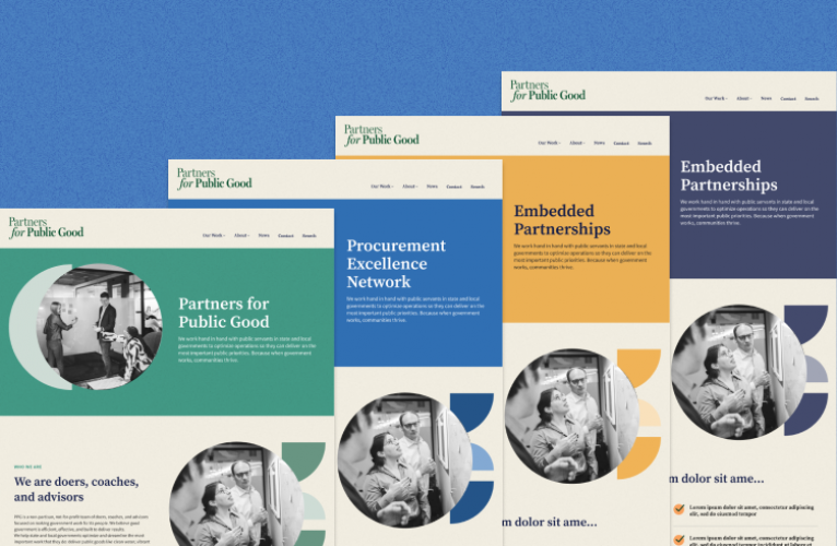 Multi-Site Platform for Partners for Public Good screenshot 3