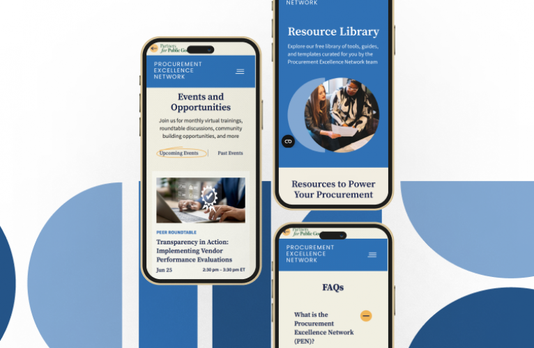 Multi-Site Platform for Partners for Public Good screenshot 4