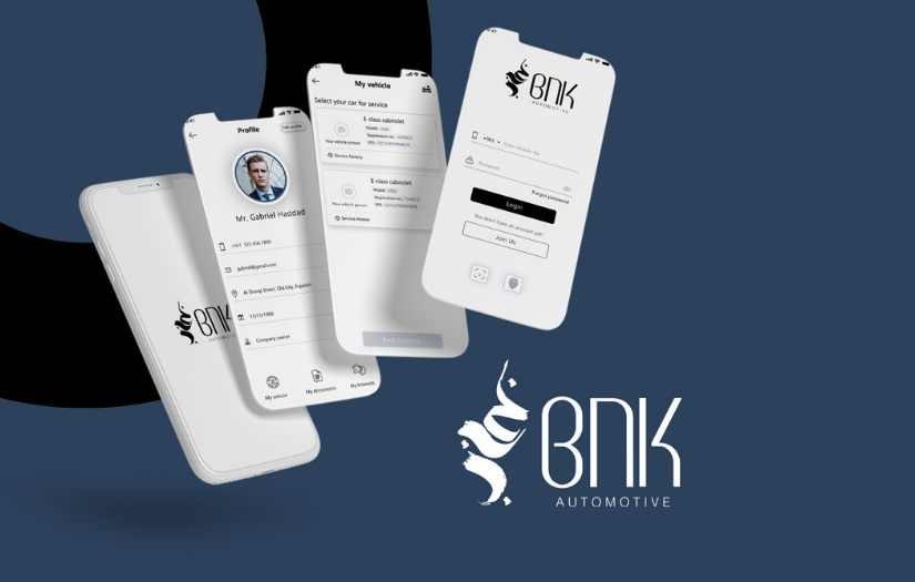 BNK Automotive screenshot 1