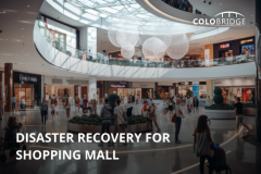  Disaster Recovery for Shopping Mall
