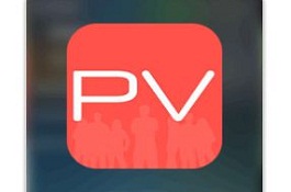 Public Voice