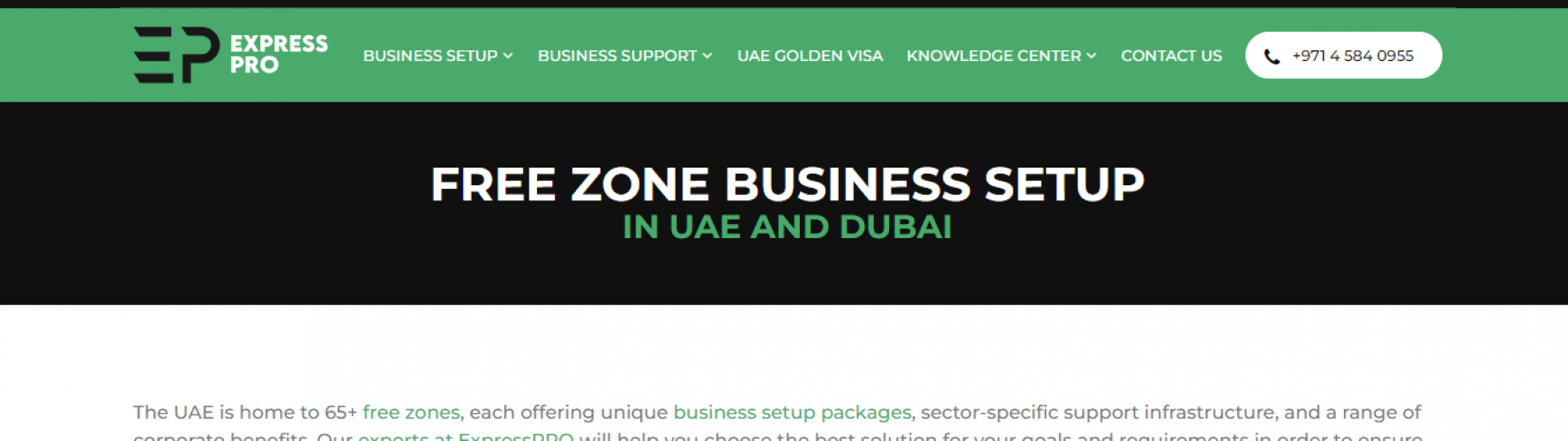 Free Zone Business Setup In Dubai screenshot 1