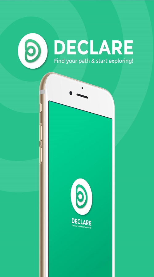 Declare screenshot 2