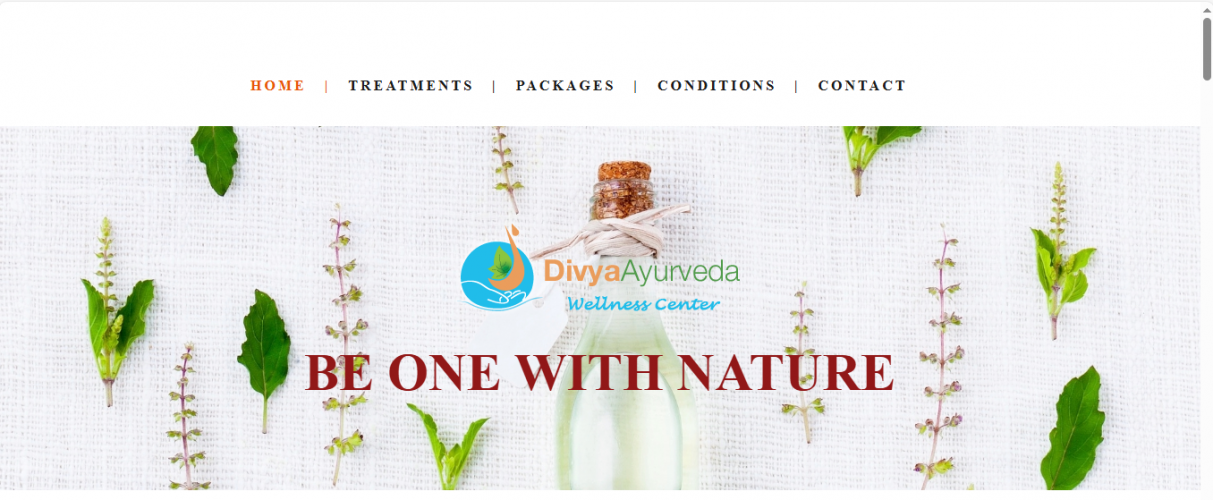 Divya Ayurveda – Holistic Wellness & Ayurvedic Treatments Platform screenshot 1
