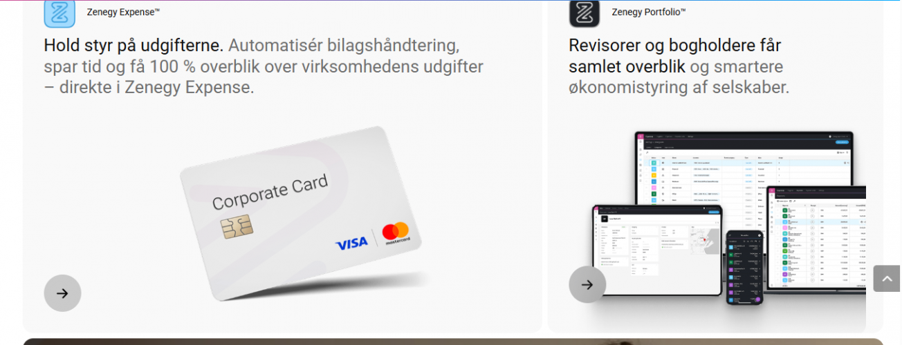 ZENEGY – All-in-One Payroll, Accounting & HR Platform screenshot 4