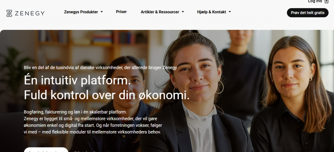ZENEGY – All-in-One Payroll, Accounting & HR Platform screenshot 3