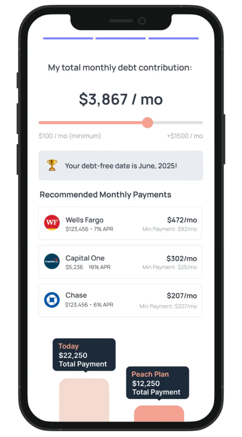 Debt pay off planning application screenshot 2