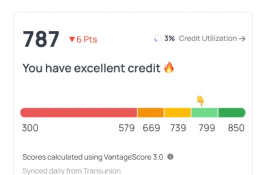 Debt pay off planning application