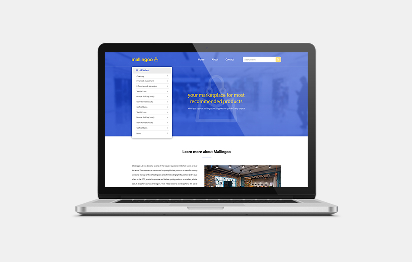 Website development Services for Affiliate Marketing business screenshot 1