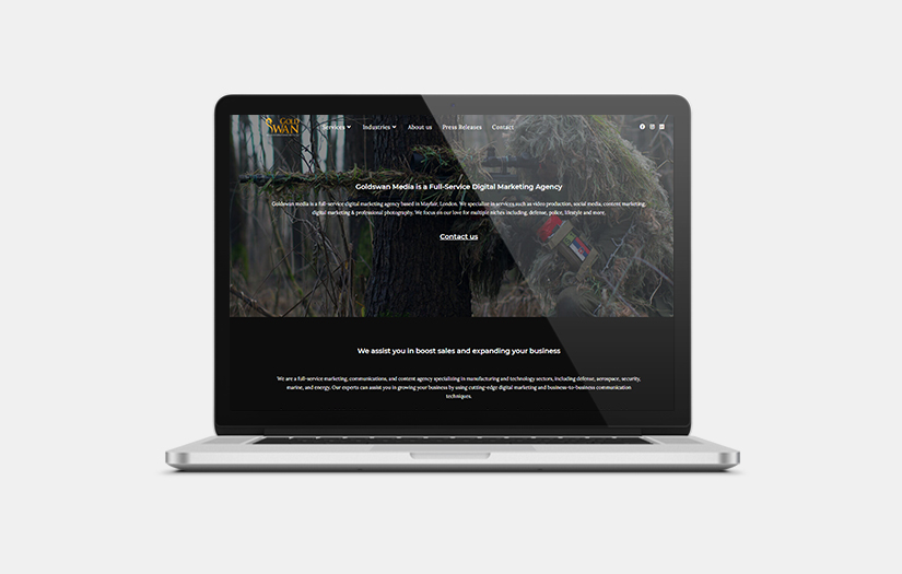 Website Development services for Digital Marketing Agency screenshot 1