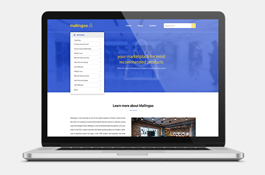 Website development Services for Affiliate Marketing business