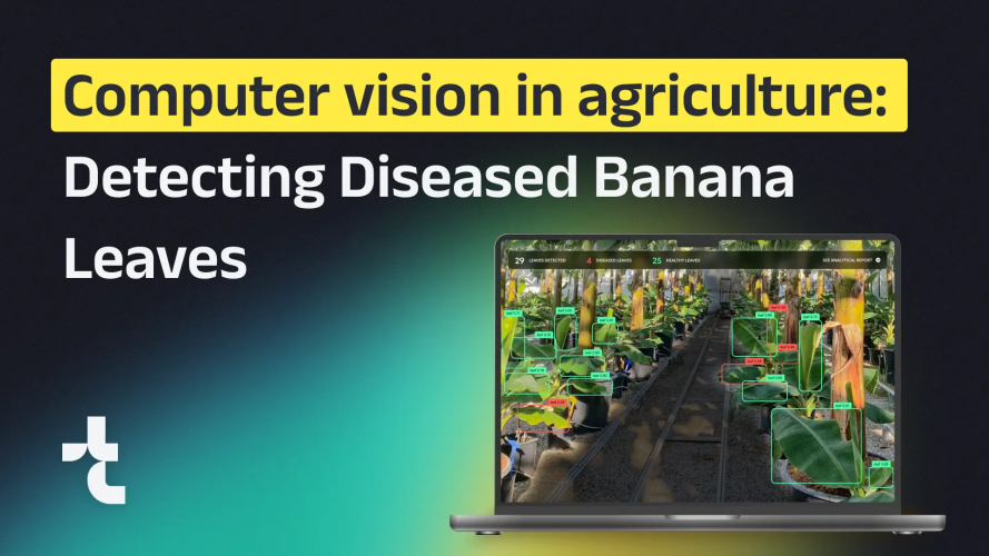 How to Use Computer Vision in Agriculture for Detecting Diseased Banana Leaves screenshot 1