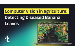 How to Use Computer Vision in Agriculture for Detecting Diseased Banana Leaves