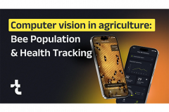 How Computer Vision in Agriculture Helps Track Bee Population and Health