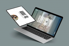 Baby Grow – Nurturing E-Commerce Experience