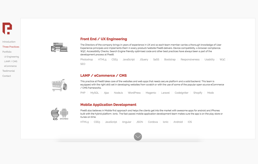 Pixel6 Services Portfolio screenshot 1