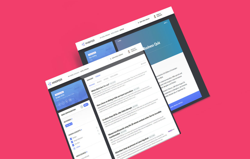 MindPeer Web App Development screenshot 1